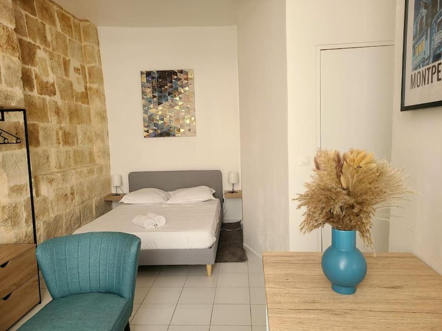 Cosy Et Calme - Centre Historique Appartement Montpellier